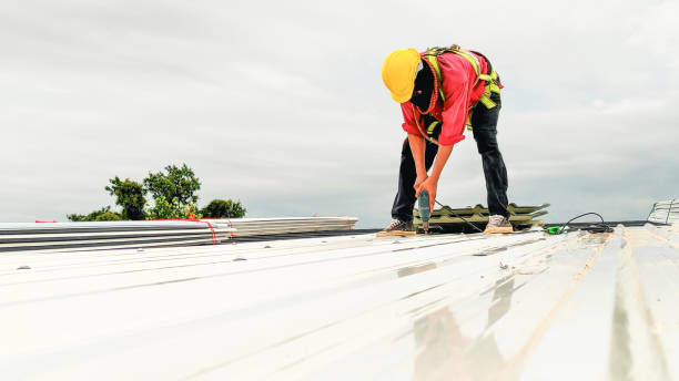 Skylights in Ferndale, WA